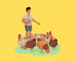 Panduan & Cara Profit dari Farm 5.000 Chicken Growtopia