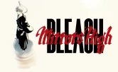 Bleach Mirror