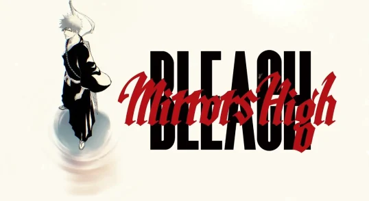 Bleach Mirror